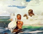 温斯洛 荷默 : The Turtle Pond